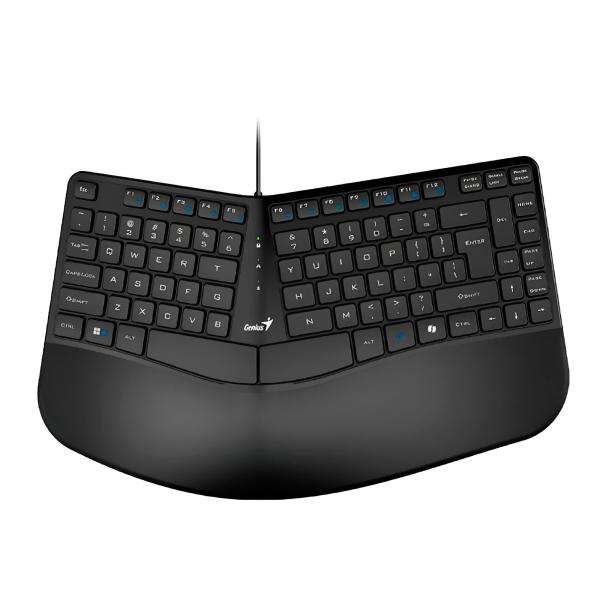 TECLADO GENIUS ERGO KB-700 MEMBRANA ALÁMBRICO USB ESPAÑOL 31310053401
